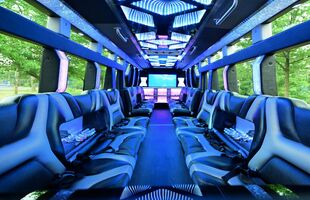 Exotic Limo Bus