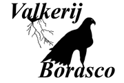 Valkerij Borasco
