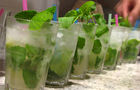 The Mojito Company