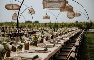 Van Der Weyden Hostessen & Feestarchitekt