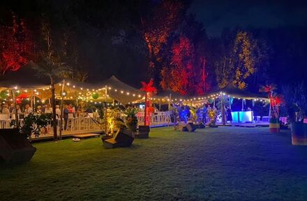 Huwelijk Nadine en Kris - Foto 1