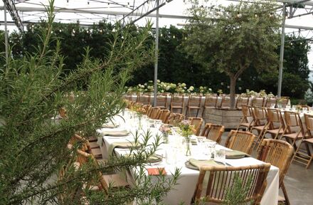 Trouwfeest in Serre - Foto 1