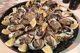 De Oester - Foto 1