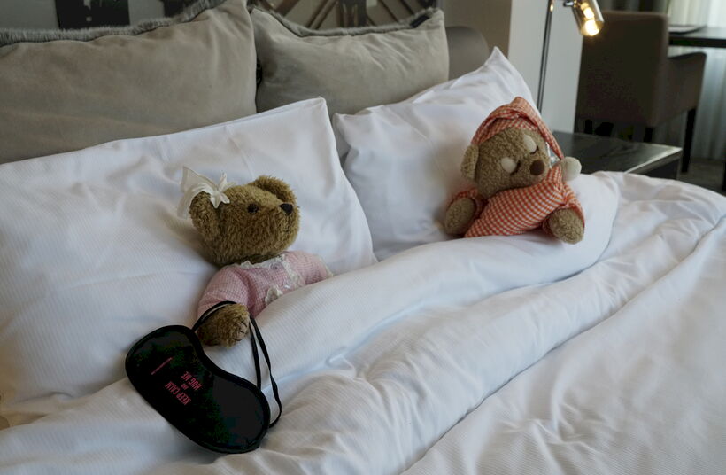 Van berenjacht tot berenpracht in het Terhills Hotel - Foto 1