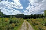 Op weg naar verder - Foto 2