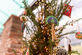 Winterevent of kerstborrel op een WOW-locatie | ECC Leiden - Foto 3