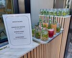 Proef de zomer: verfrissende cocktails en mocktails van Grunewald.bar