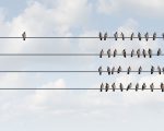 Volg de crowd: hoe je jouw evenement kunt crowdsourcen Volg de crowd: hoe je jouw evenement kunt crowdsourcen