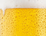 Festival legt 7km lange bier-pijplijn aan Festival legt 7km lange bier-pijplijn aan