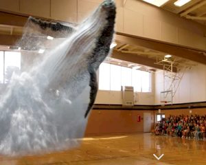 Magic Leap tovert een walvis op je event