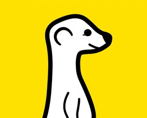 Livestreaming-app Meerkat stopt er mee