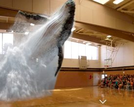 Magic Leap tovert een walvis op je event