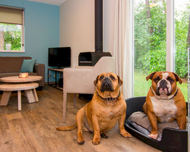 Landal Business Line faciliteert succesvolle event 'Doggy Days' Landal Business Line faciliteert succesvolle event 'Doggy Days'