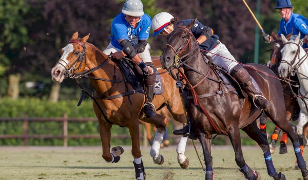 Waalre Polo beste polosport-event in de Benelux Waalre Polo beste polosport-event in de Benelux