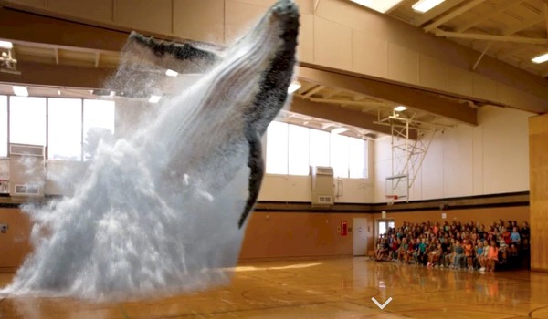 Magic Leap tovert een walvis op je event Magic Leap tovert een walvis op je event