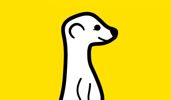 Livestreaming-app Meerkat stopt er mee Livestreaming-app Meerkat stopt er mee