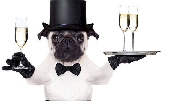 Hoe zet je een hospitality-plan op voor de bezoekers van je evenement? Hoe zet je een hospitality-plan op voor de bezoekers van je evenement?