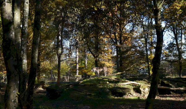 Neolitische teambuilding op een prehistorisch domein Neolitische teambuilding op een prehistorisch domein