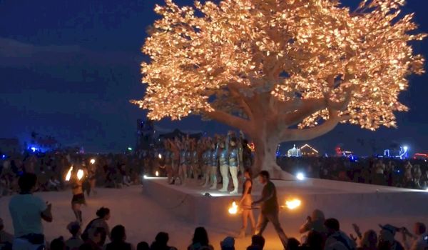 Spectaculair: Boom met 138.000 LED lampjes Spectaculair: Boom met 138.000 LED lampjes