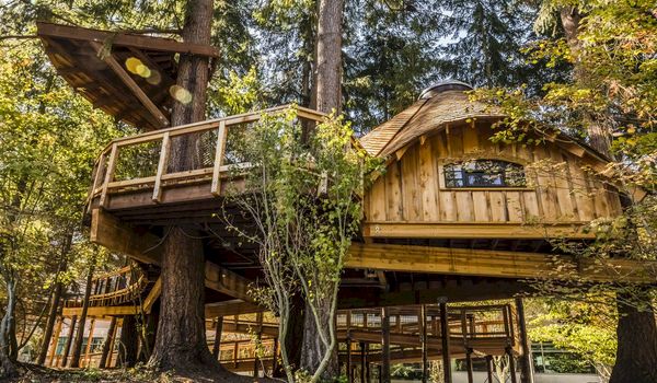 Bij Microsoft vergaderen ze nu in een boomhut Bij Microsoft vergaderen ze nu in een boomhut