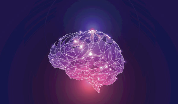 Hoe pas je neuromarketing toe op je evenement? Hoe pas je neuromarketing toe op je evenement?