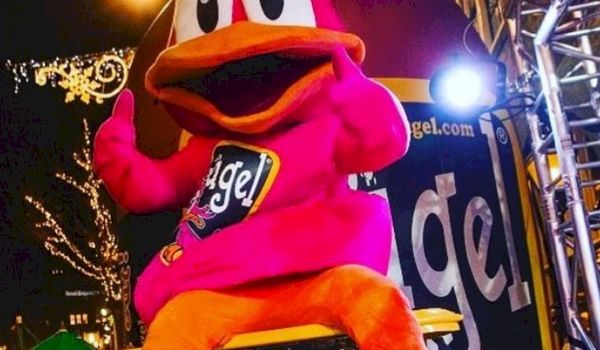Gezocht (m/v): fulltime Flügel-eend om te dansen op evenementen Gezocht (m/v): fulltime Flügel-eend om te dansen op evenementen
