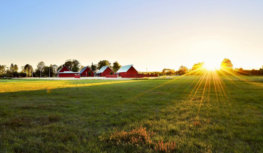 Tips voor een outdoor-event Tips voor een outdoor-event